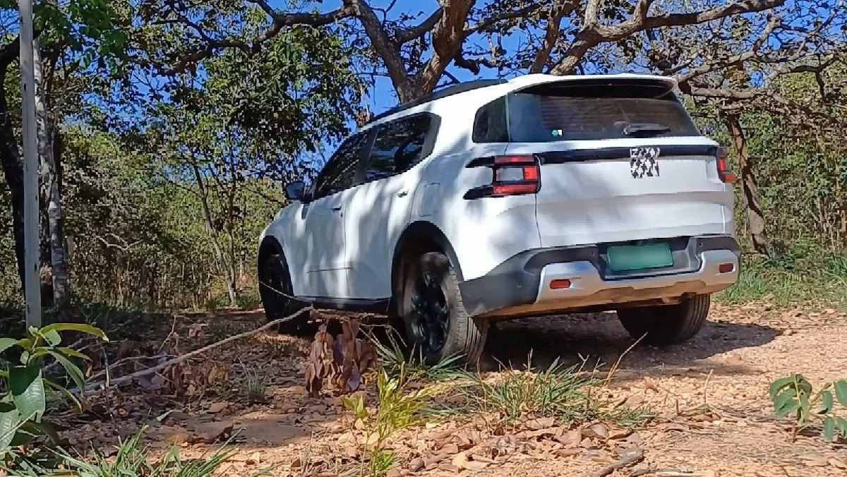 C3 Aircross de traseira em área de mata