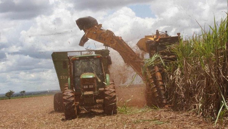 Máquina agrícola vista de frente durante processo de colheita mecanizada de cana-de-açúcar, que servirá para a produção de etanol