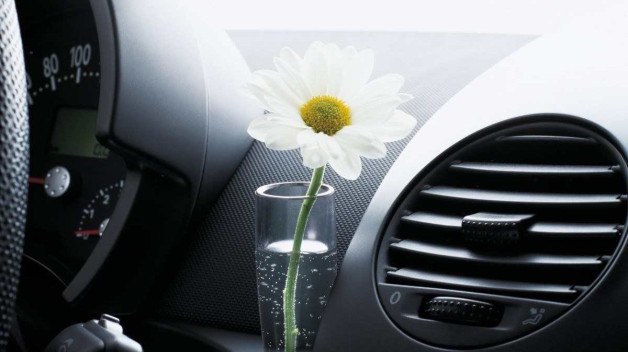 Motorista podia colocar flores sintéticas ou naturais no vasinho
    