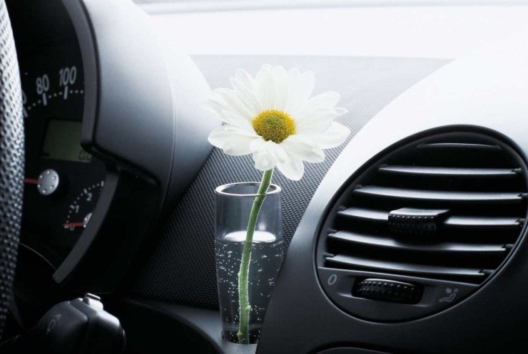 Motorista podia colocar flores sintéticas ou naturais no vasinho
    