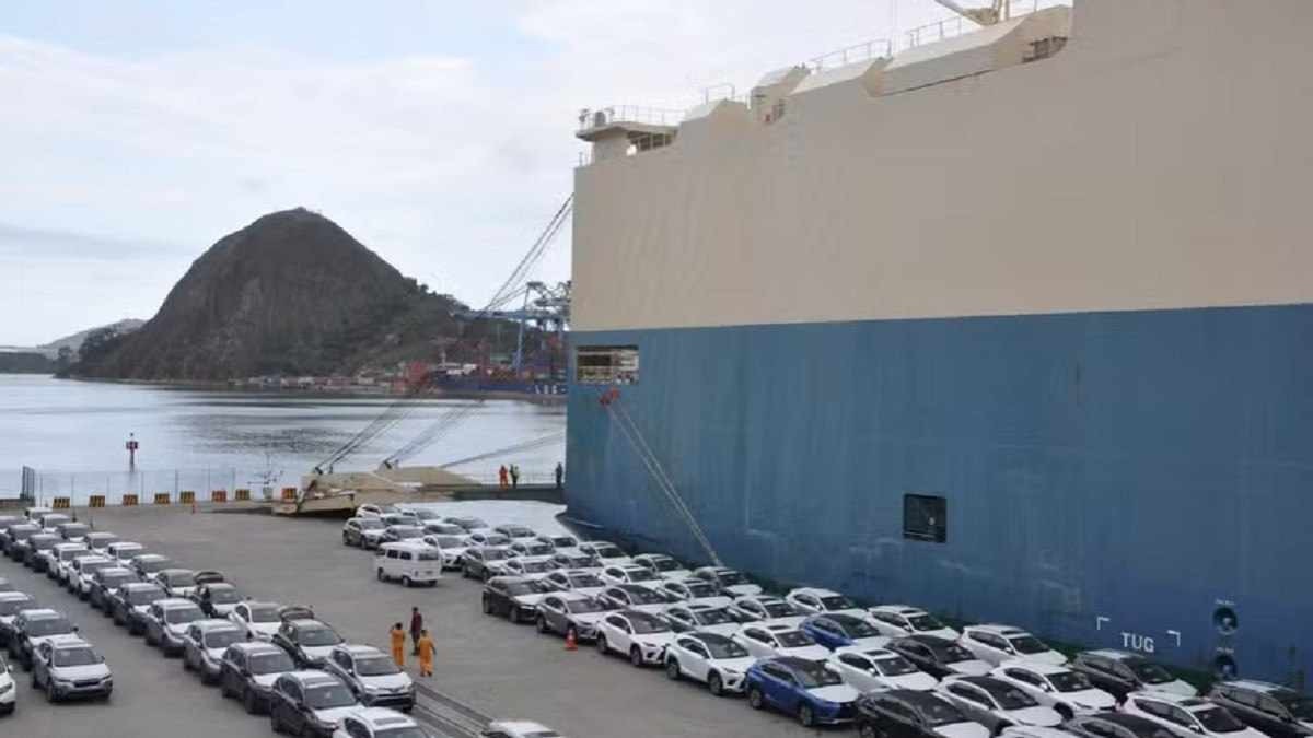 Quase 50 mil carros encalhados em portos por greve no Ibama
