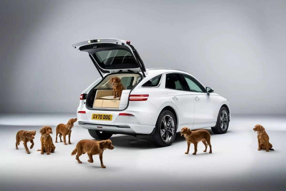 A marca de luxo Genesis desenvolveu o conceito de um módulo, a ser instalado no SUV GV70, que agrega conforto e luxo para os cachorros.