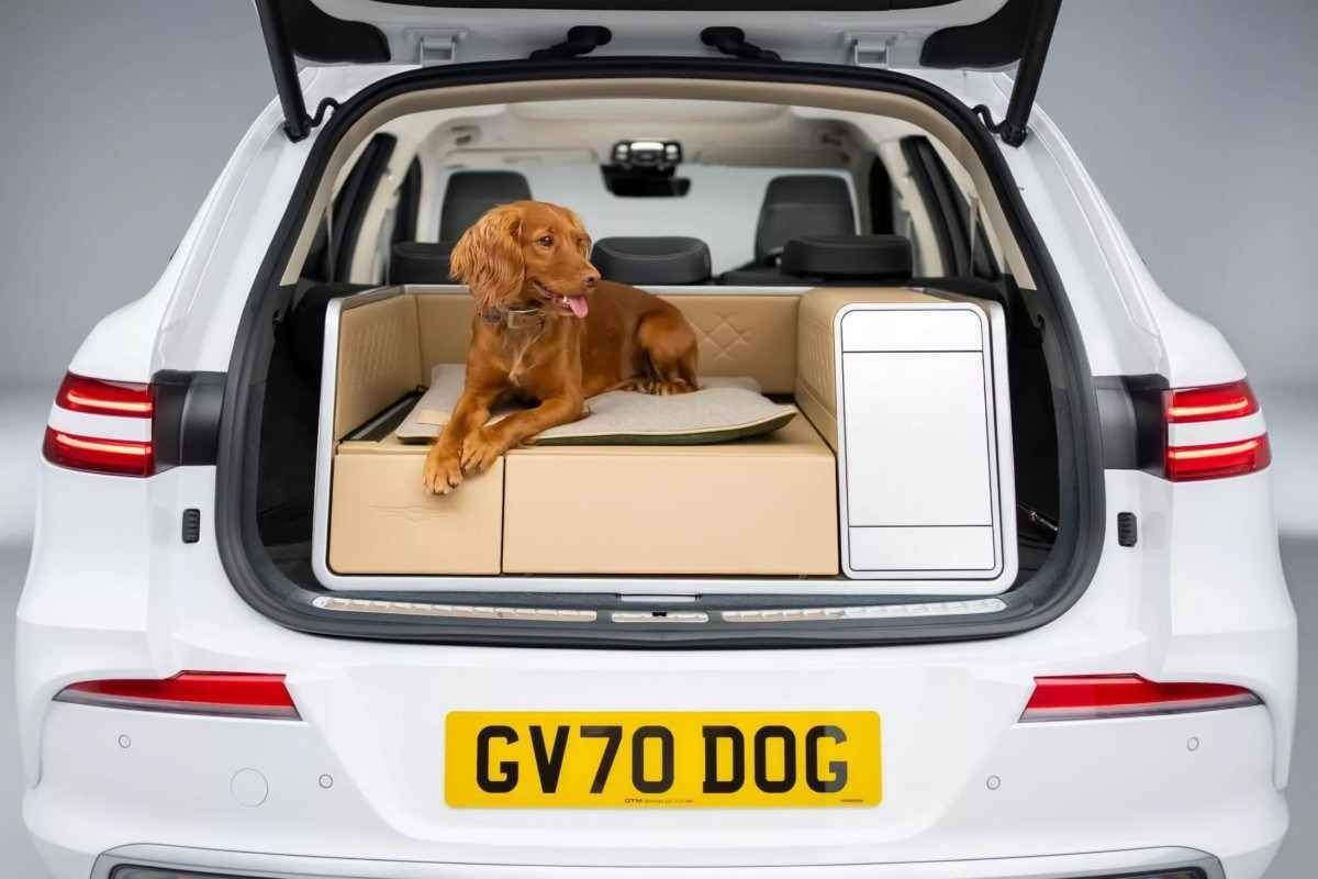Genesis cobre de luxo até o cachorro da família a bordo do SUV GV70