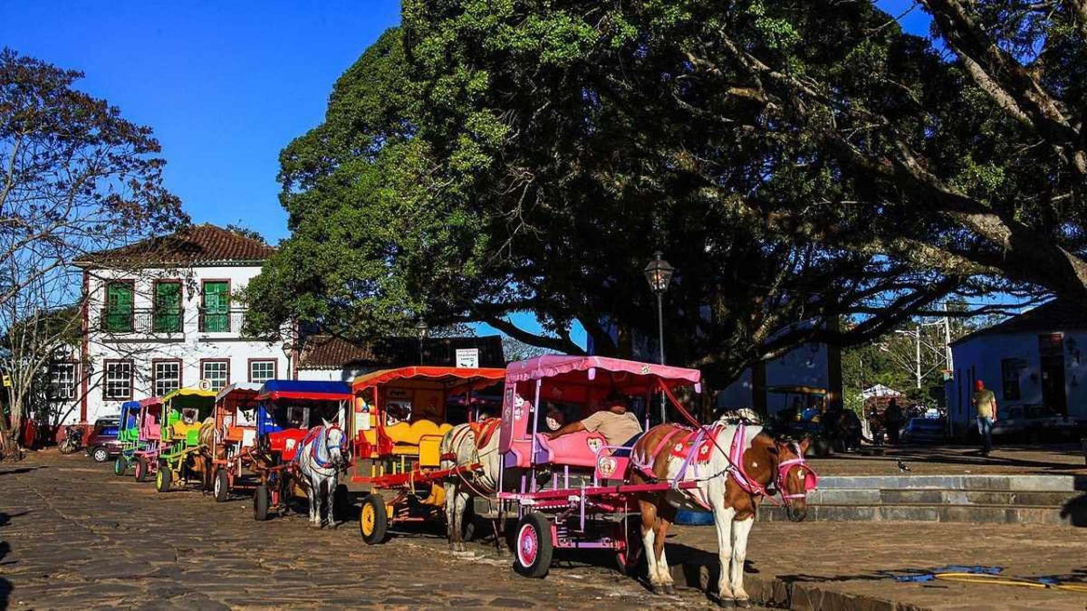 Sete charretes com cavalos na frente estão enfileiradas ao lado de praça em Tiradentes. A praça possui duas grandes árvores e ao fundo é possível ver prédio histórico na cor branca