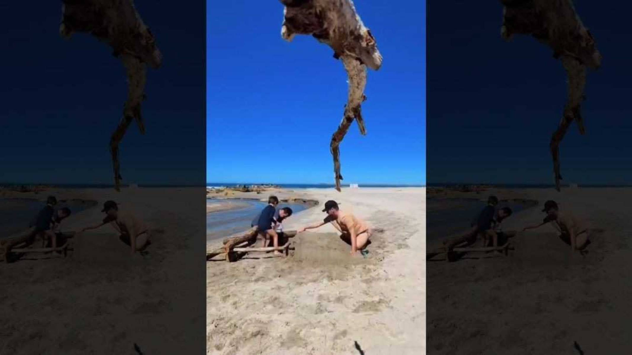 Hilbert pegou os materiais do carro na praia