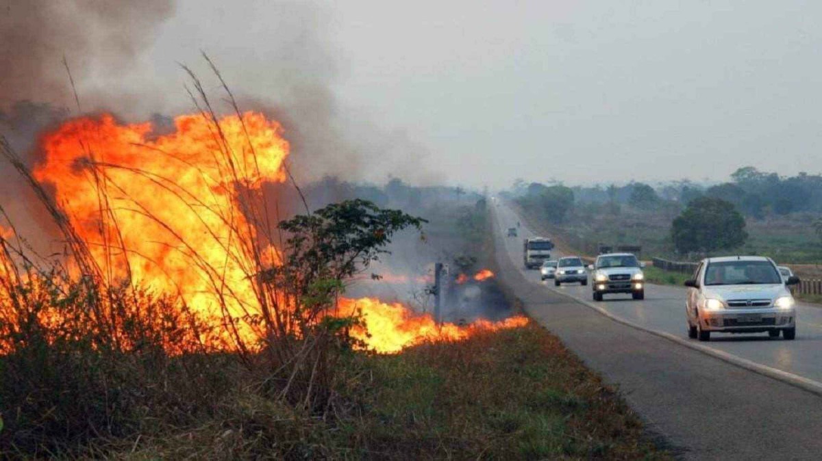 Queimadas nas rodovias são frequentemente causadas por descarte inadequado de cigarros e lixo