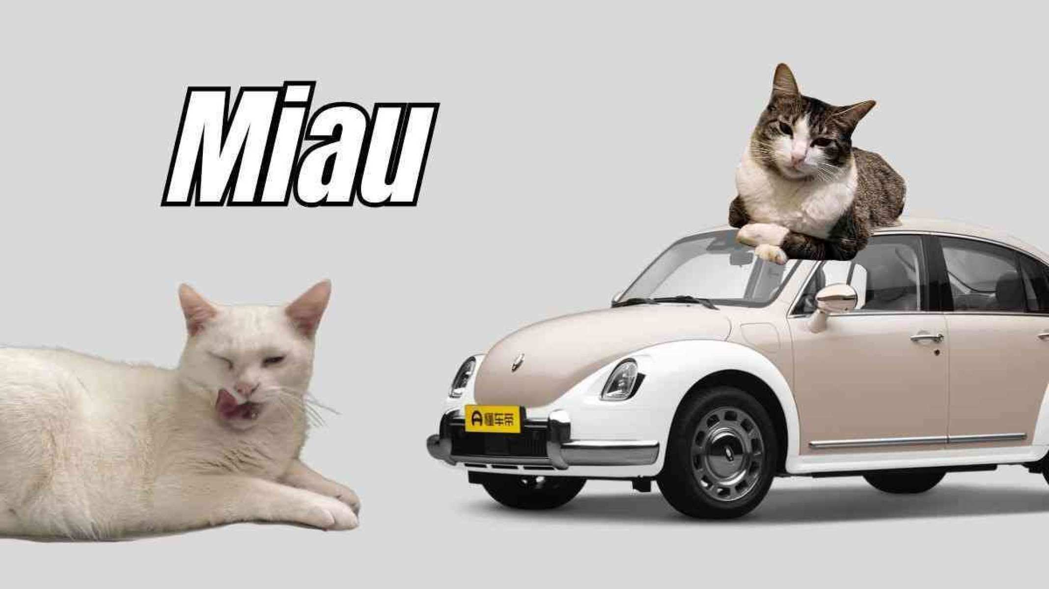 Dia do Gato: carros inspirados nos felinos; logo da Tesla é um focinho?