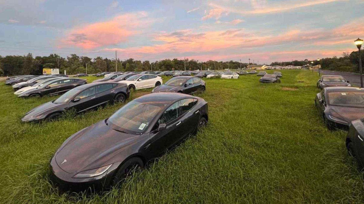 Diversos Teslas Model 3 novíssimos foram encontrados abandonados misteriosamente
