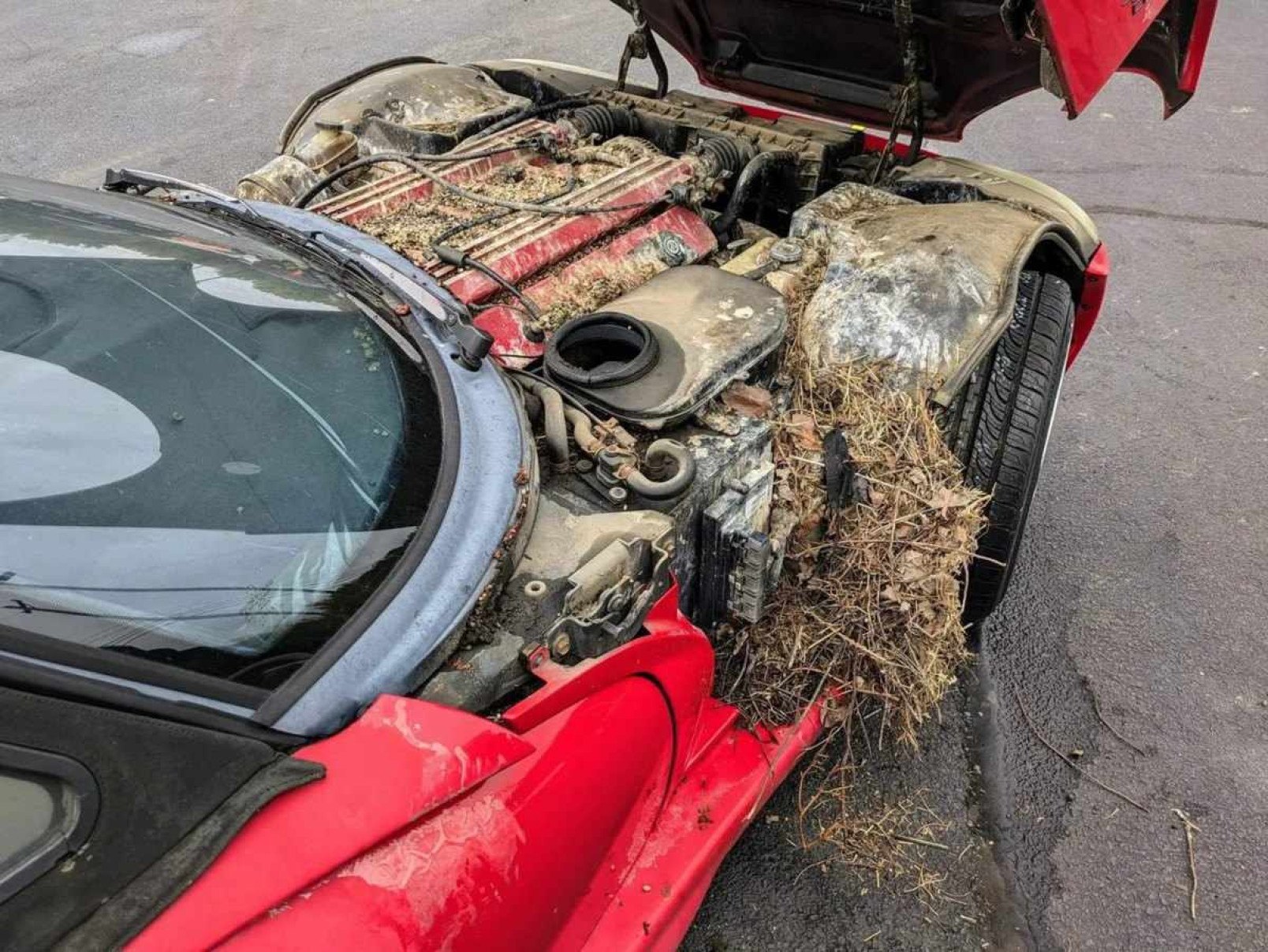 Dodge Viper que ficou 28 anos parado será restaurado; veja o estado 