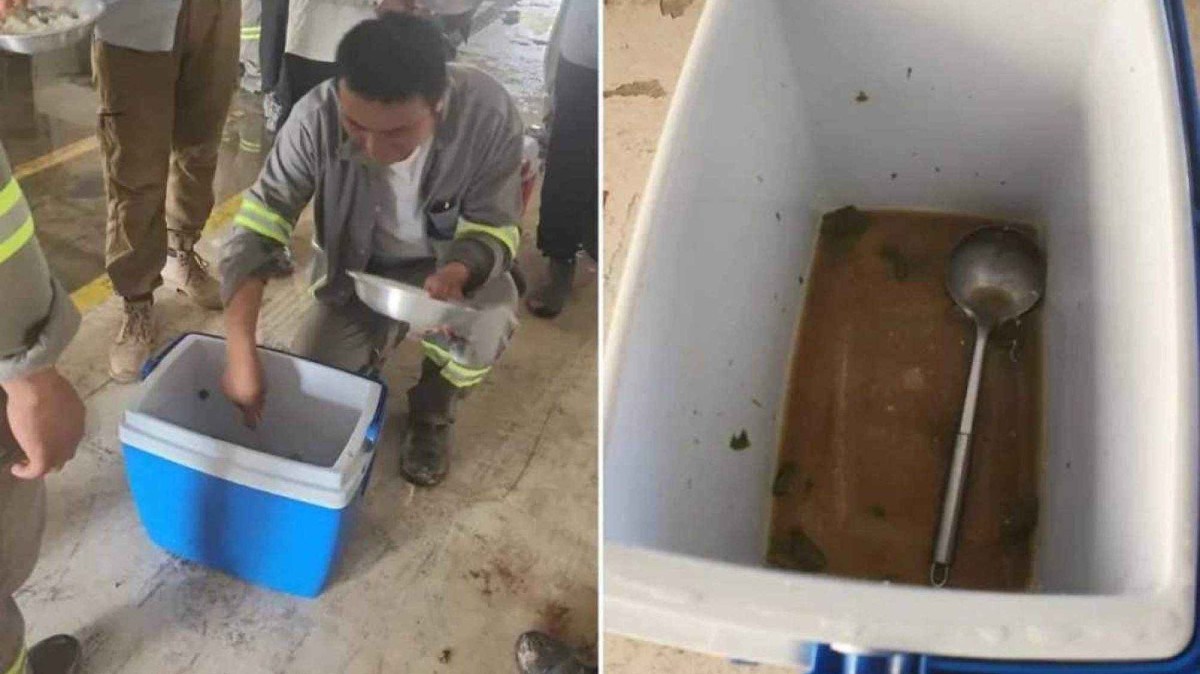 BYD responde às denúncias de abusos trabalhistas na fábrica de Camaçari, na Bahia
