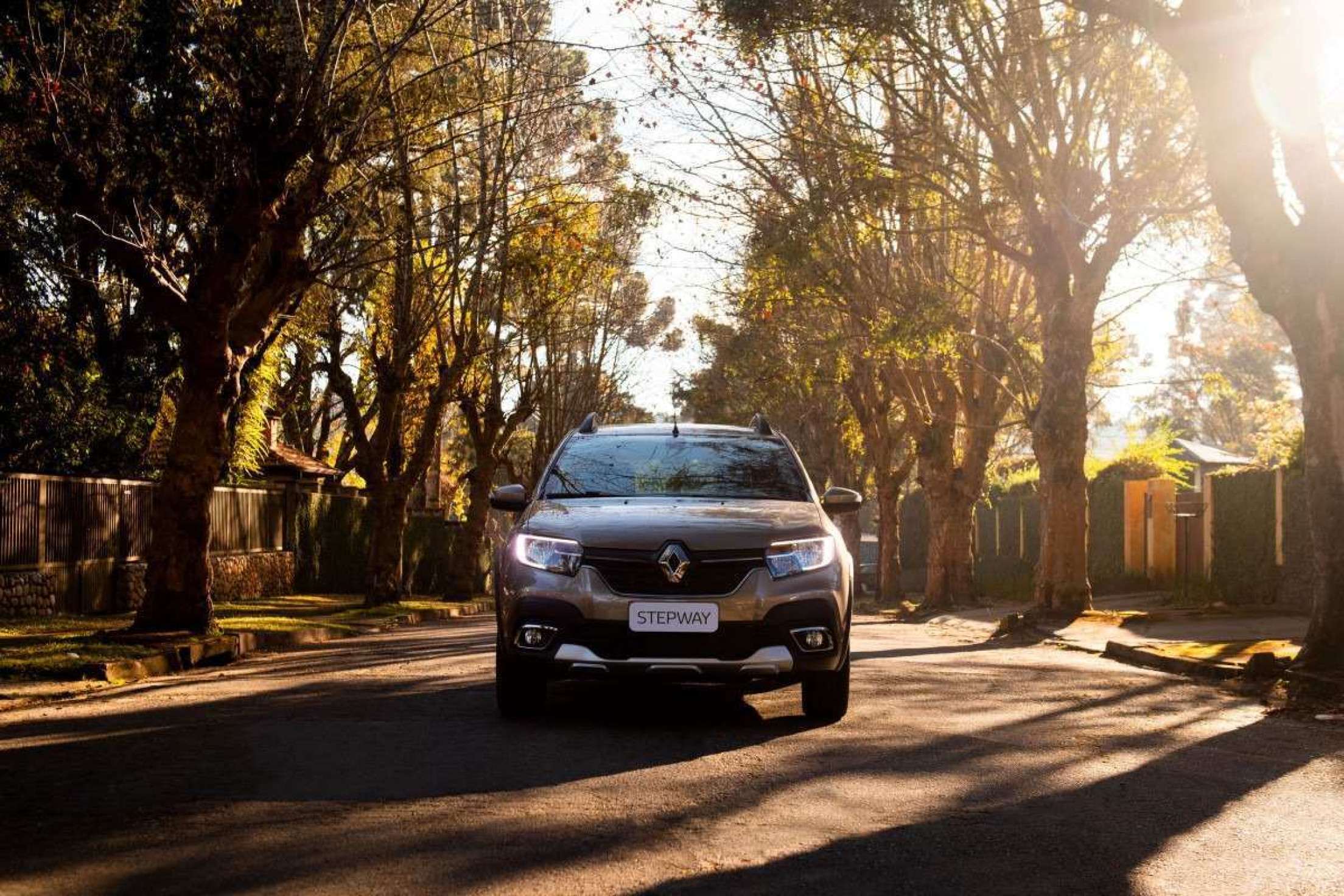 Renault Stepway