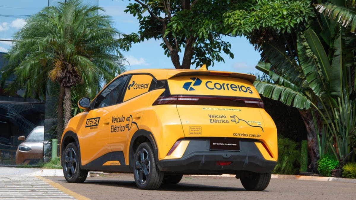 BYD Dolphin Mini Cargo