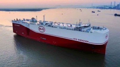 BYD Dolphin EV: subindo o sarrafo entre elétricos de entrada