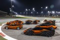 Coleção histórica da McLaren -  (crédito: Reprodução/Tom Hartley Jnr)