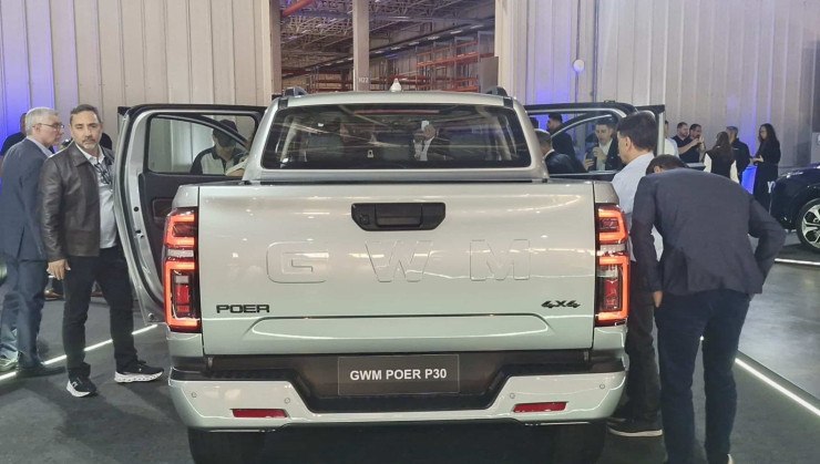 GWM Poer P30