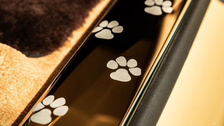 Alguns detalhes das patas de Bailey em Rose Gold estão espalhadas pelo carro