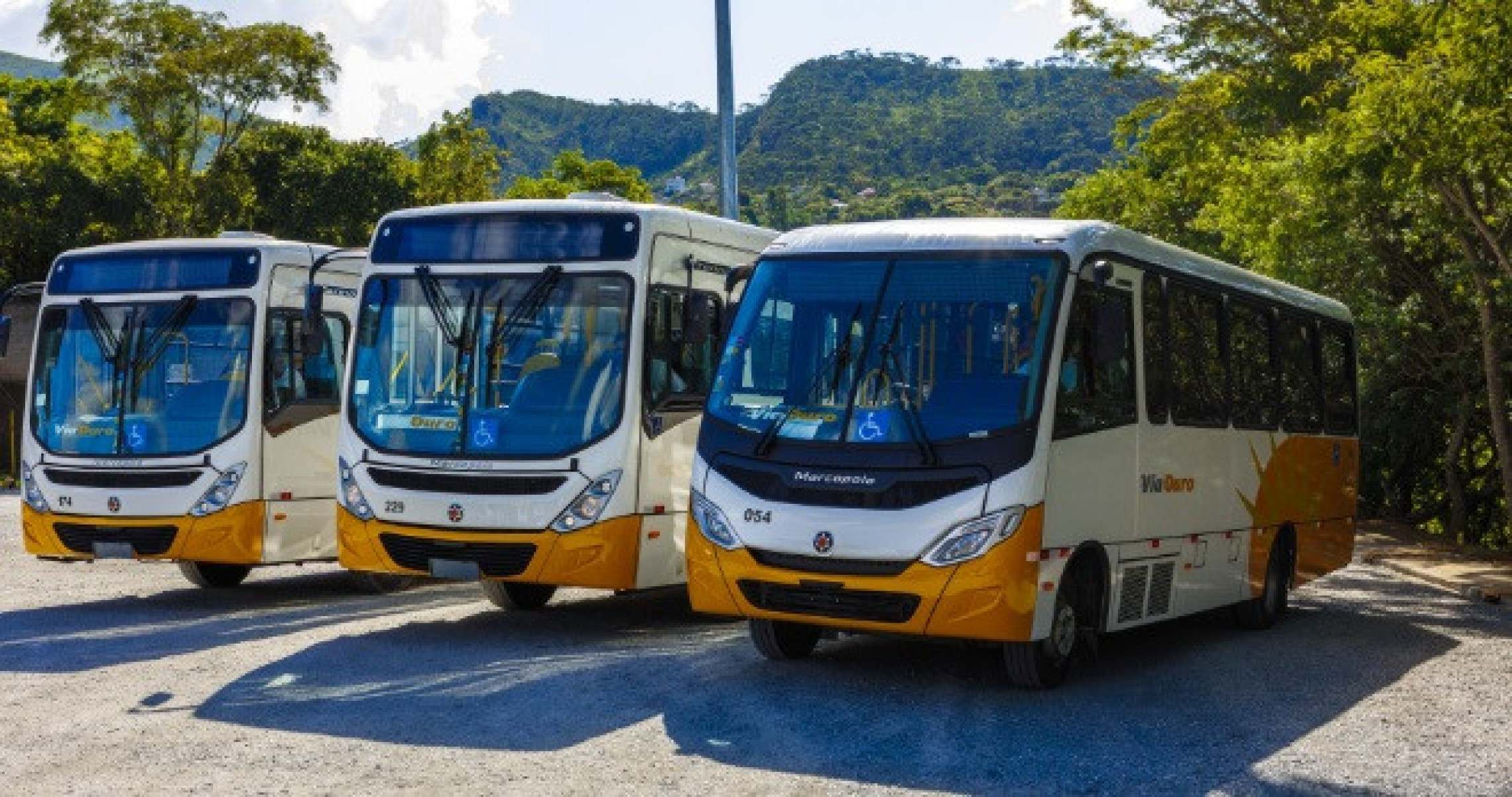 Ônibus da cidade de Nova Lima 