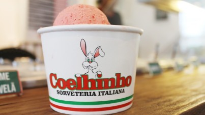 BYD Dolphin EV: subindo o sarrafo entre elétricos de entrada