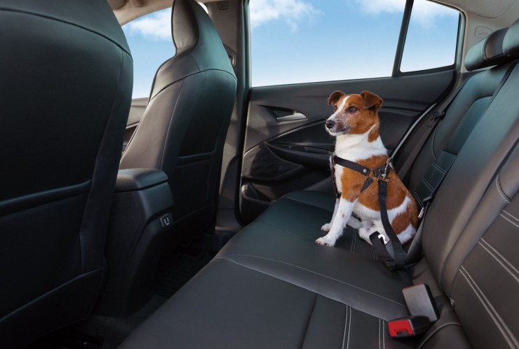 A central OnStar conta com atendentes especializados e infraestrutura de resposta em tempo real