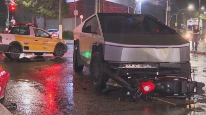 BYD Dolphin EV: subindo o sarrafo entre elétricos de entrada