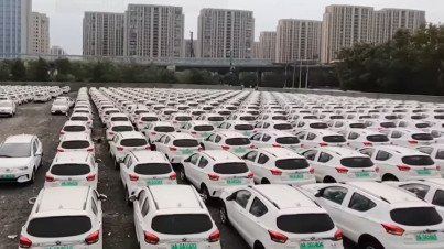 BYD Dolphin EV: subindo o sarrafo entre elétricos de entrada