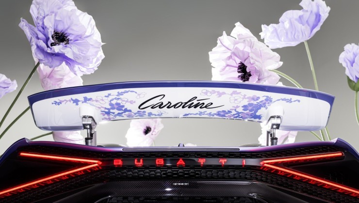 Detalhe da &iacute;ris que aparece somente quando a asa est&aacute; aberta