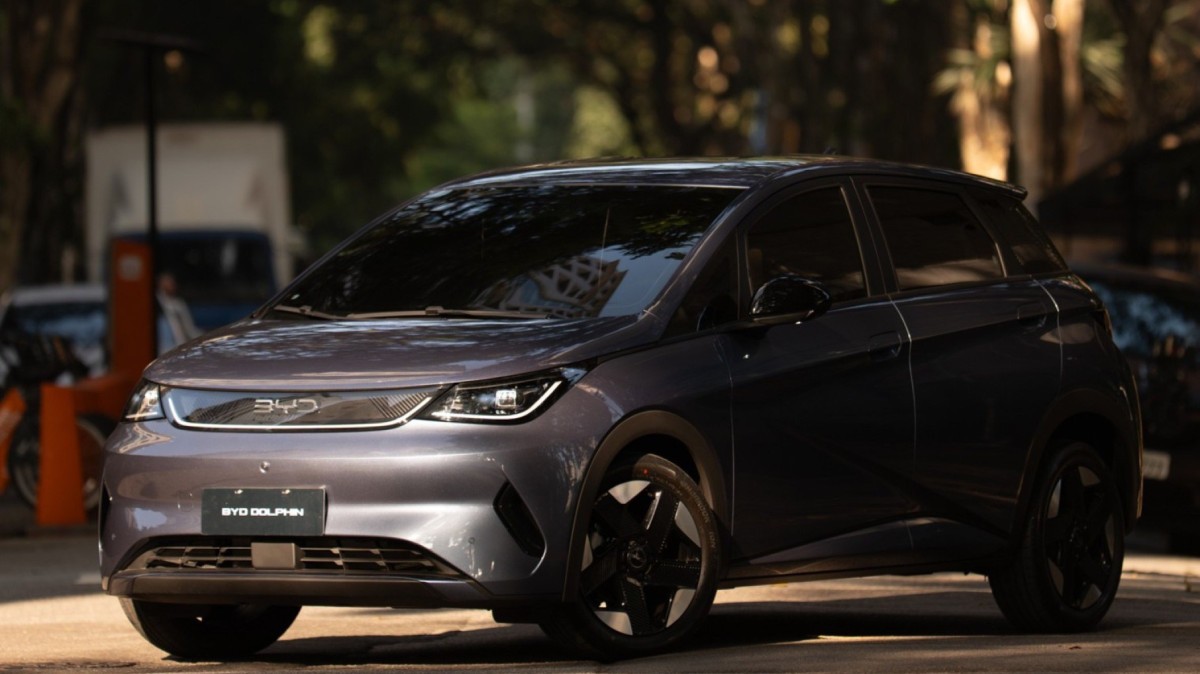 Dolphin Special Edition