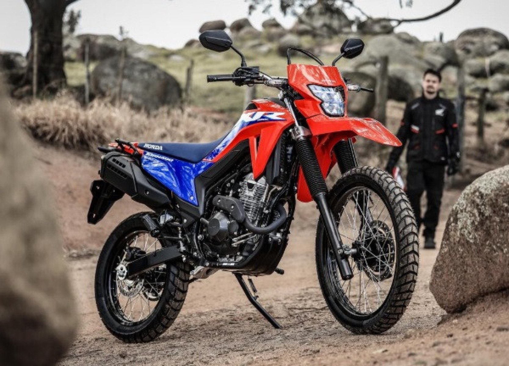 Honda XRL300 Tornado