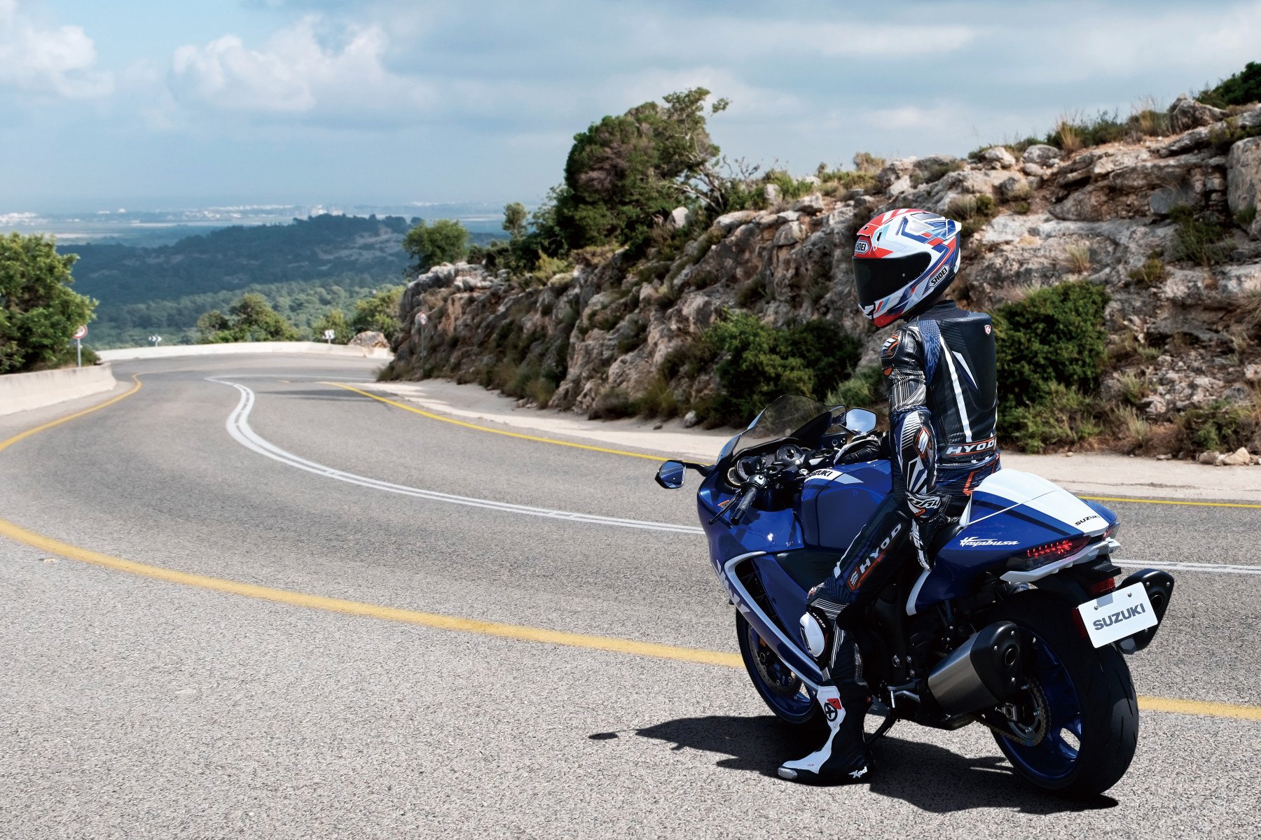 Suzuki Hayabusa Special Edition