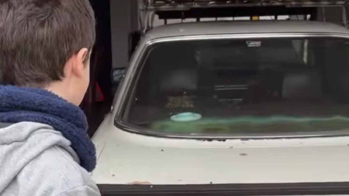 Stefano Sgroi aprendeu a ler aos 2 anos, acha a escola entediante e planeja construir um Fusca de fibra de carbono em menos de um ano