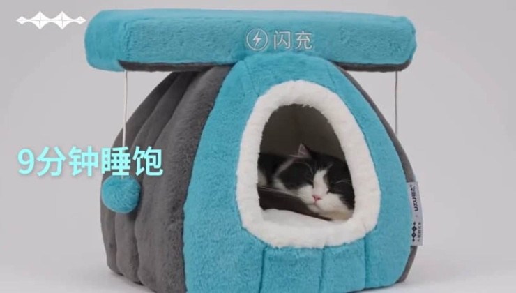 Cama para gatos da BYD promete 'fazer o gato dormir em apenas 9 minutos', fazendor referência à velocidade de recarga do equipamento -  (crédito: Divulgação)