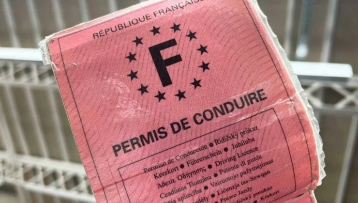 Habilitação rosa é usada na França -  (crédito: Reprodução/Presse-citron)