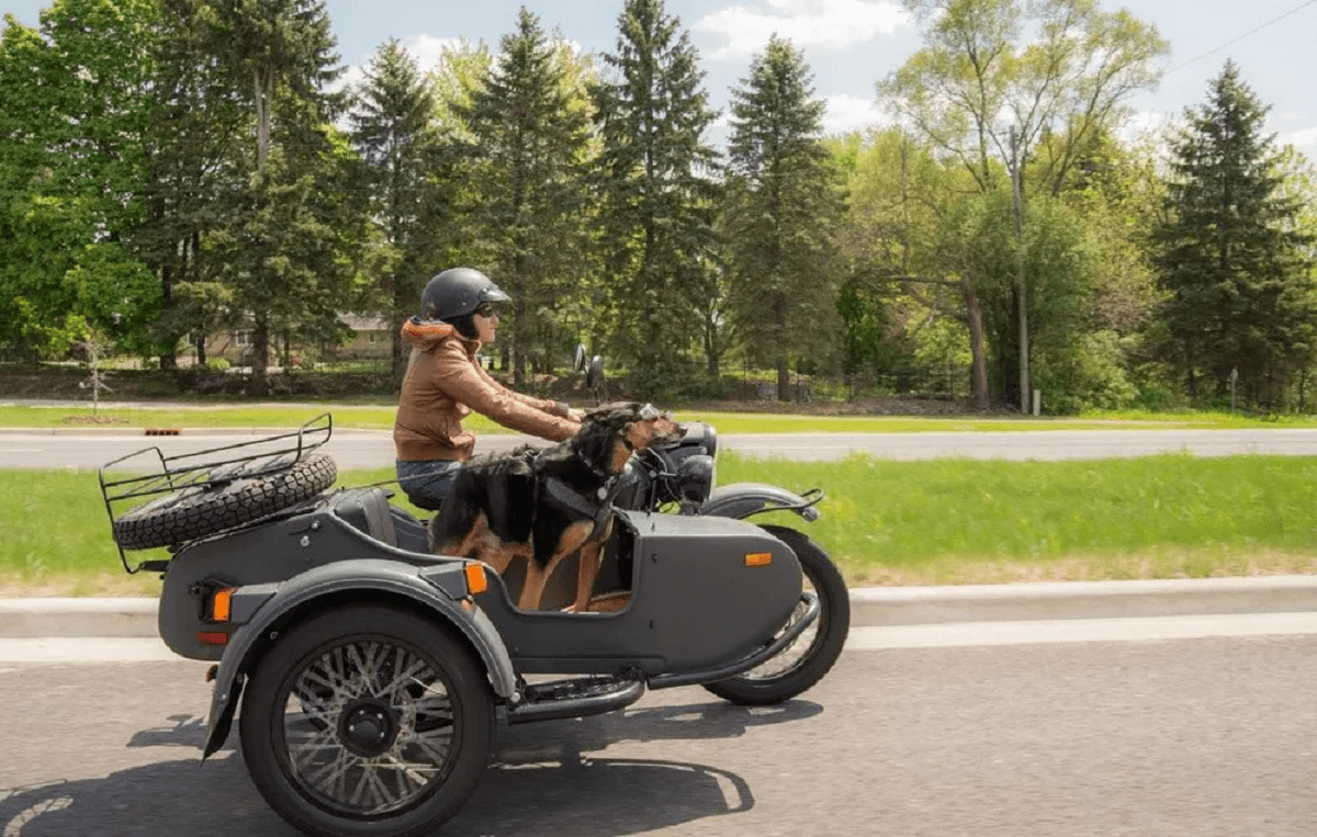 Moto em movimento com sidecar acoplado comportando cachorro