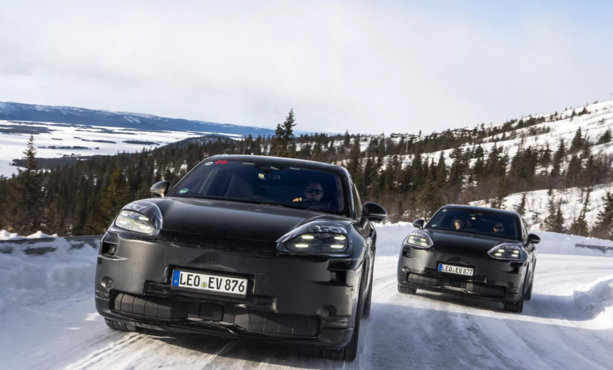 Cayenne EV